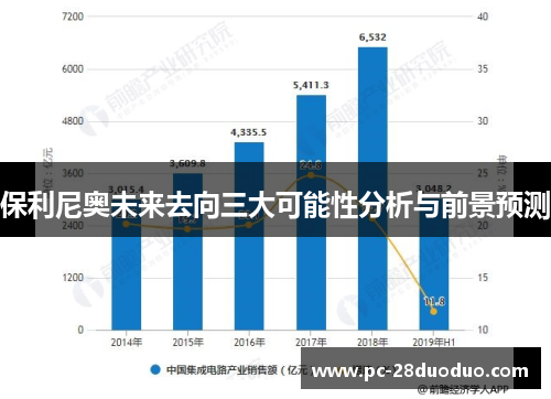 保利尼奥未来去向三大可能性分析与前景预测