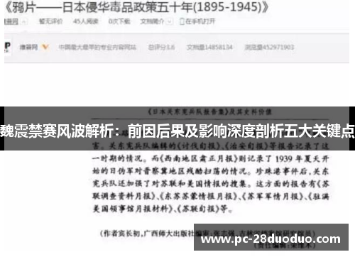 魏震禁赛风波解析：前因后果及影响深度剖析五大关键点