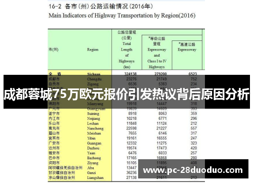 成都蓉城75万欧元报价引发热议背后原因分析