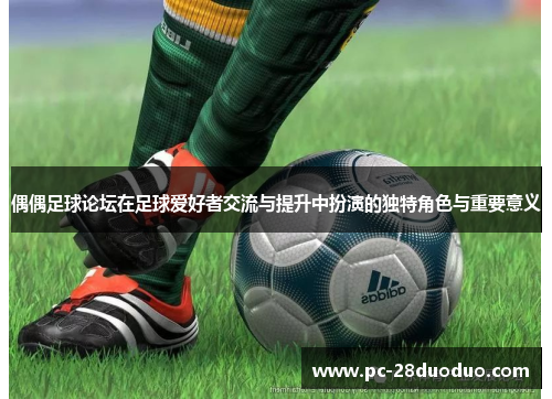 偶偶足球论坛在足球爱好者交流与提升中扮演的独特角色与重要意义
